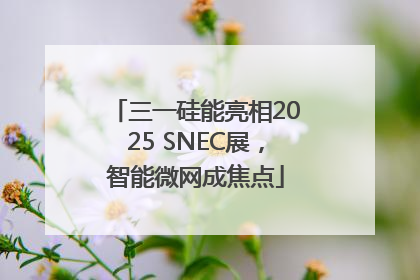 三一硅能亮相2025 SNEC展，智能微网成焦点