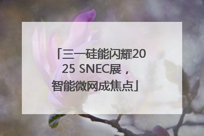 三一硅能闪耀2025 SNEC展，智能微网成焦点
