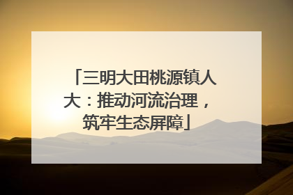 三明大田桃源镇人大：推动河流治理，筑牢生态屏障