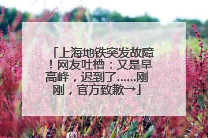 上海地铁突发故障！网友吐槽：又是早高峰，迟到了……刚刚，官方致歉→