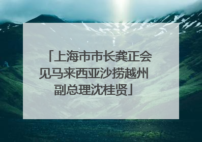 上海市市长龚正会见马来西亚沙捞越州副总理沈桂贤
