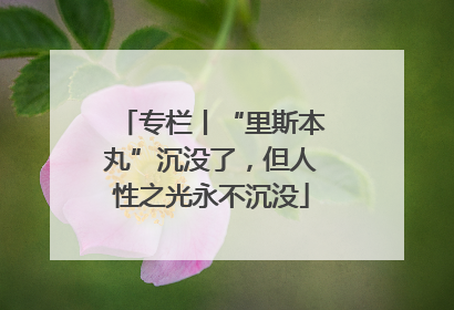 专栏丨“里斯本丸”沉没了，但人性之光永不沉没