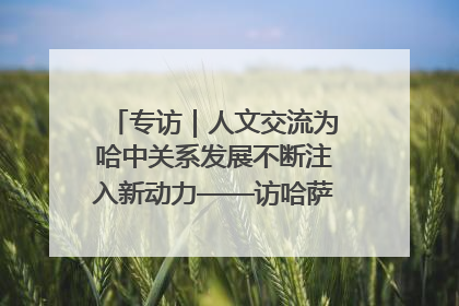 专访｜人文交流为哈中关系发展不断注入新动力——访哈萨克斯坦文化与信息部部长巴拉耶娃
