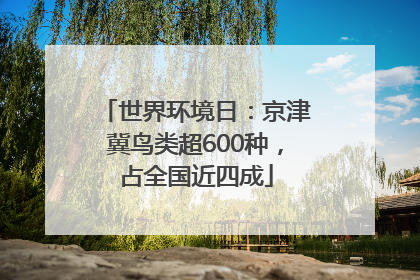 世界环境日：京津冀鸟类超600种，占全国近四成