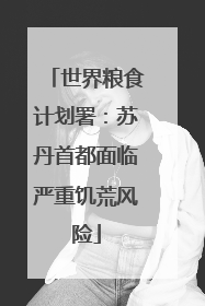 世界粮食计划署：苏丹首都面临严重饥荒风险