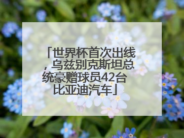 世界杯首次出线，乌兹别克斯坦总统豪赠球员42台比亚迪汽车