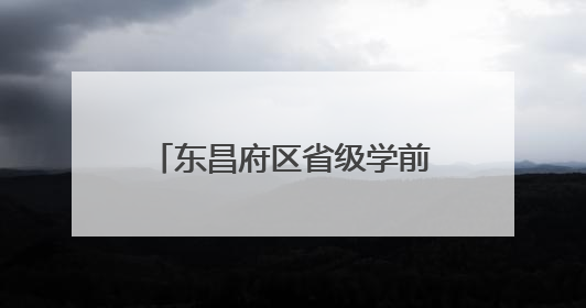 东昌府区省级学前教育游戏活动实验区建设推进会召开
