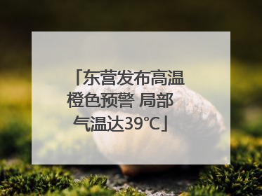 东营发布高温橙色预警 局部气温达39℃