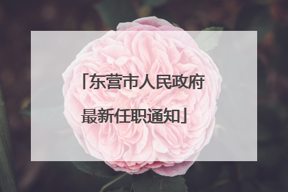 东营市人民政府最新任职通知