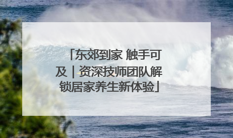 东郊到家 触手可及｜资深技师团队解锁居家养生新体验