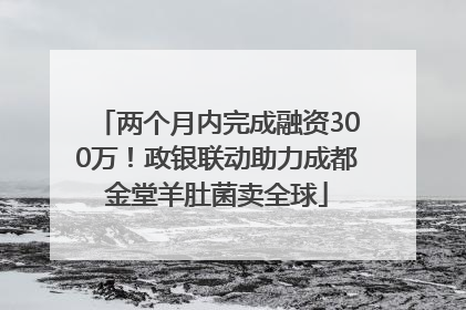 两个月内完成融资300万！政银联动助力成都金堂羊肚菌卖全球