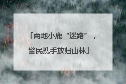 两地小鹿“迷路”，警民携手放归山林
