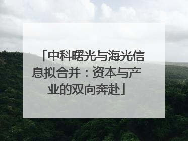 中科曙光与海光信息拟合并：资本与产业的双向奔赴