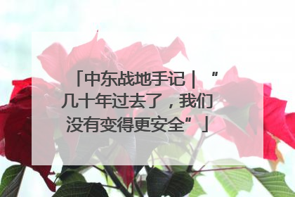 中东战地手记｜“几十年过去了，我们没有变得更安全”