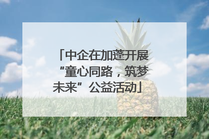 中企在加蓬开展“童心同路，筑梦未来”公益活动