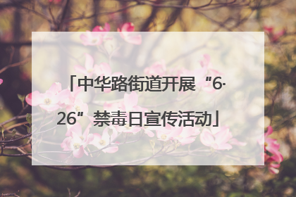 中华路街道开展“6·26”禁毒日宣传活动