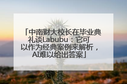 中南财大校长在毕业典礼谈Labubu：它可以作为经典案例来解析，AI难以给出答案