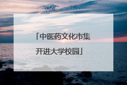 中医药文化市集开进大学校园