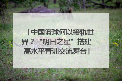 中国篮球何以接轨世界？“明日之星”搭建高水平青训交流舞台