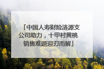 中国人寿财险涟源支公司助力，十甲村黄桃销售难题迎刃而解