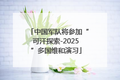 中国军队将参加“可汗探索-2025”多国维和演习