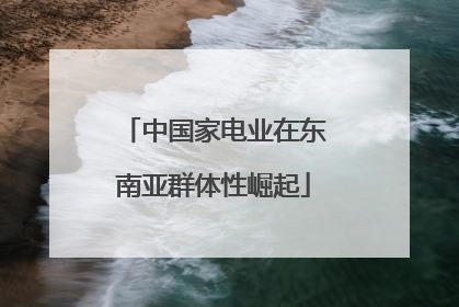 中国家电业在东南亚群体性崛起