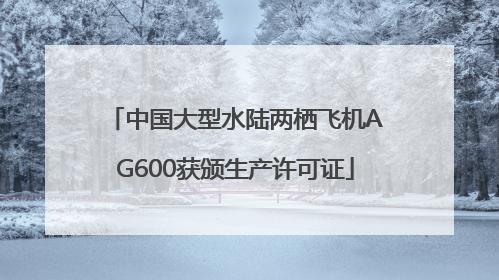 中国大型水陆两栖飞机AG600获颁生产许可证