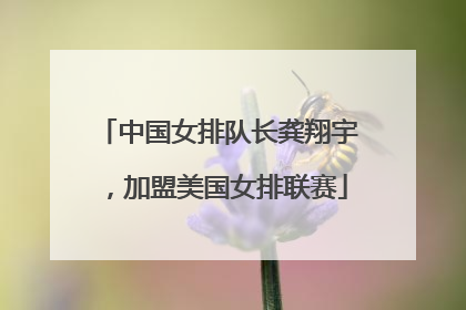 中国女排队长龚翔宇，加盟美国女排联赛