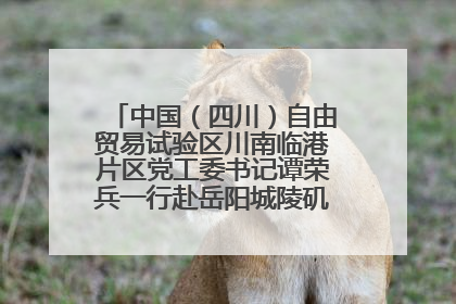 中国（四川）自由贸易试验区川南临港片区党工委书记谭荣兵一行赴岳阳城陵矶综保区考察