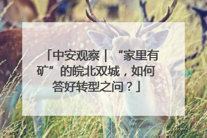 中安观察｜“家里有矿”的皖北双城，如何答好转型之问？