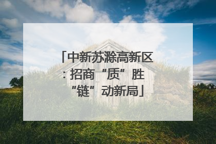 中新苏滁高新区：招商“质”胜 “链”动新局