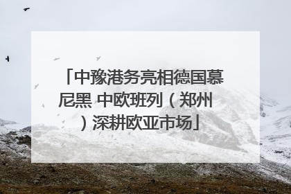 中豫港务亮相德国慕尼黑 中欧班列（郑州）深耕欧亚市场