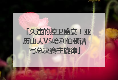 久违的控卫盛宴！亚历山大VS哈利伯顿谱写总决赛主旋律