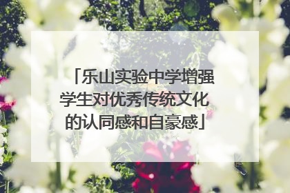 乐山实验中学增强学生对优秀传统文化的认同感和自豪感