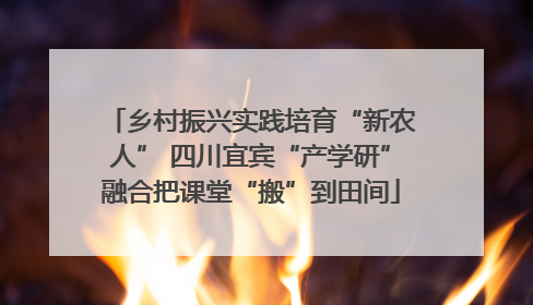 乡村振兴实践培育“新农人” 四川宜宾“产学研”融合把课堂“搬”到田间
