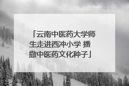 云南中医药大学师生走进西冲小学 播撒中医药文化种子
