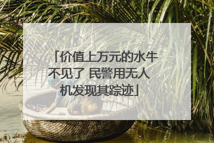 价值上万元的水牛不见了 民警用无人机发现其踪迹