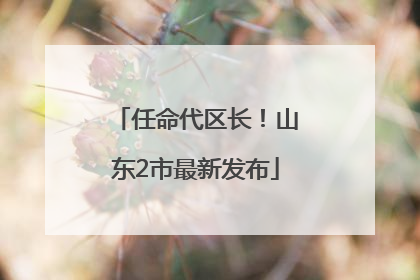 任命代区长！山东2市最新发布