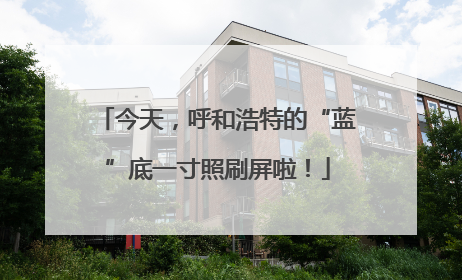 今天，呼和浩特的“蓝”底一寸照刷屏啦！