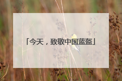 今天，致敬中国蓝盔