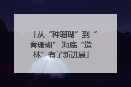 从“种珊瑚”到“育珊瑚” 海底“造林”有了新进展