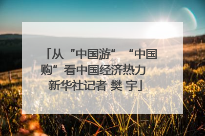 从“中国游”“中国购”看中国经济热力 新华社记者 樊 宇