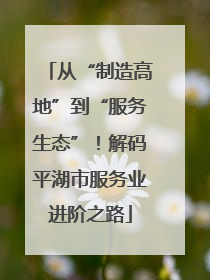 从“制造高地”到“服务生态”！解码平湖市服务业进阶之路