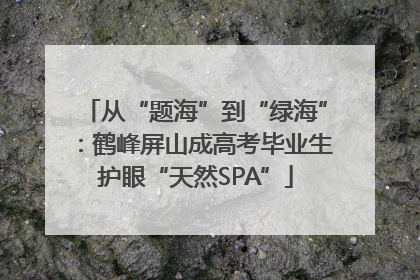 从“题海”到“绿海”：鹤峰屏山成高考毕业生护眼“天然SPA”