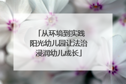 从环境到实践 阳光幼儿园让法治浸润幼儿成长