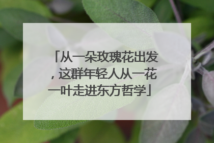 从一朵玫瑰花出发，这群年轻人从一花一叶走进东方哲学