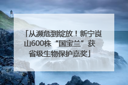 从濒危到绽放！新宁崀山600株“国宝兰”获省级生物保护嘉奖