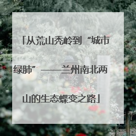 从荒山秃岭到“城市绿肺”——兰州南北两山的生态蝶变之路