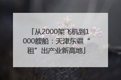 从2000架飞机到1000艘船：天津东疆“租”出产业新高地