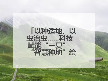 以种适地、以虫治虫……科技赋能“三夏” “智慧种地”绘就好“丰”景